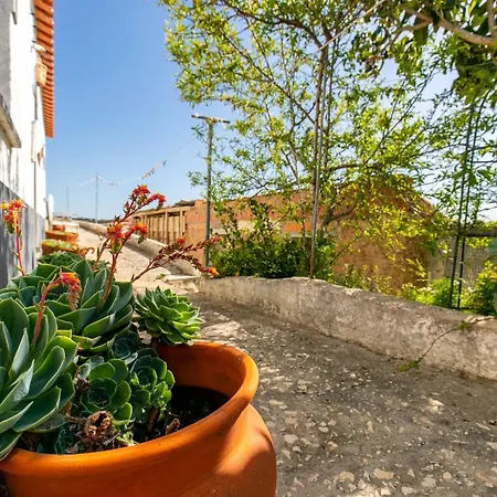 Casinha Flores Holiday home